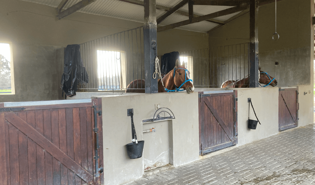 Caballerizas y boxes en Cuatro Vientos, preparación de monturas.
