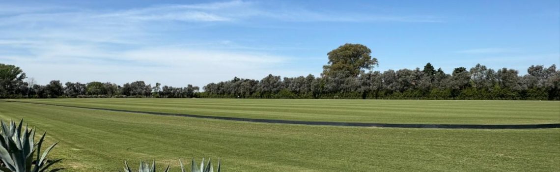 Vista general de la cancha de polo en Cuatro Vientos (Pilar), con agaves en primer plano y cielo despejado.